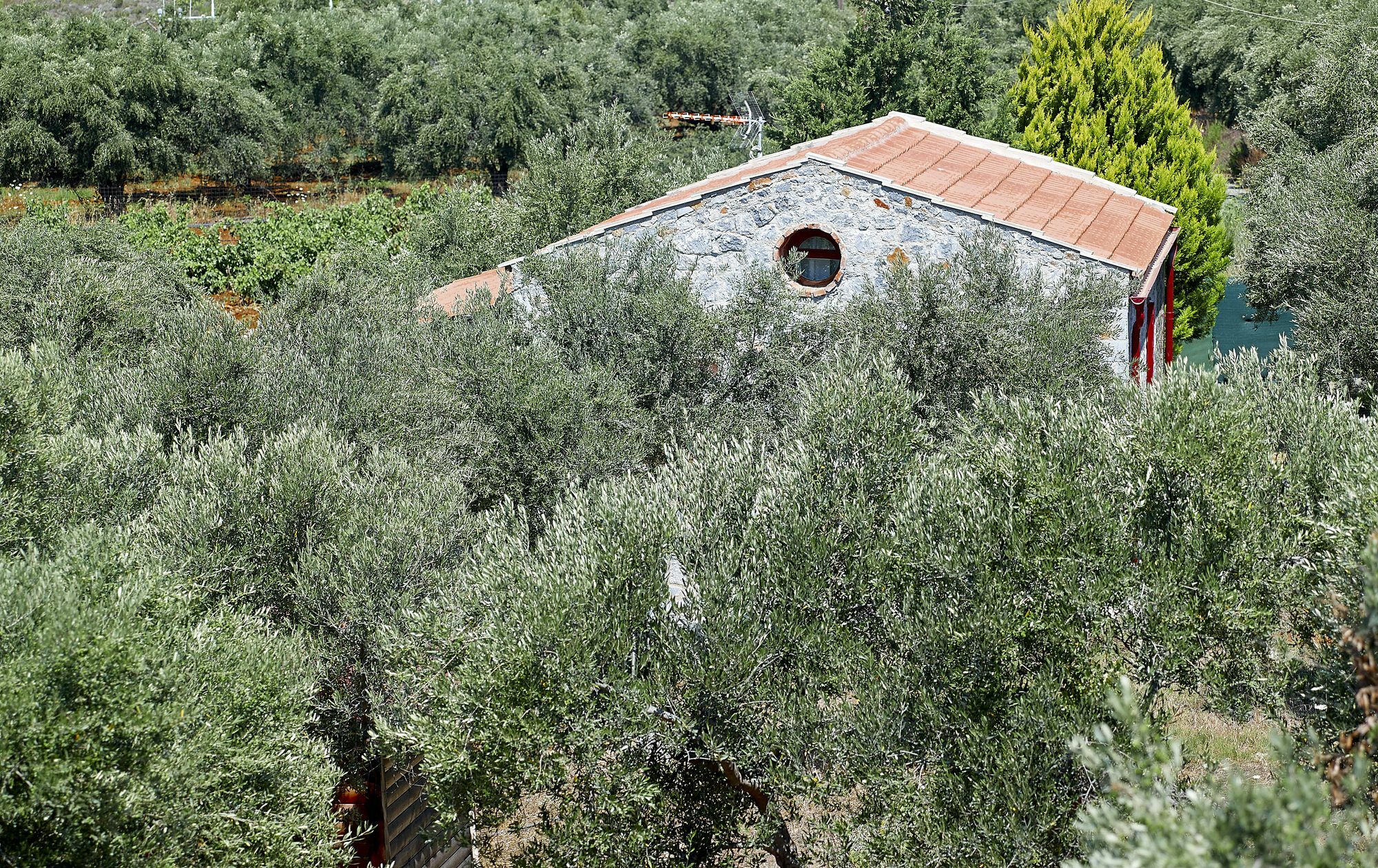 Fortino Villas Livadi  Exterior photo